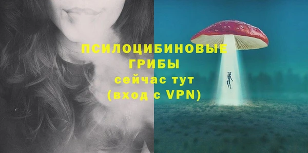 дмт Богородицк