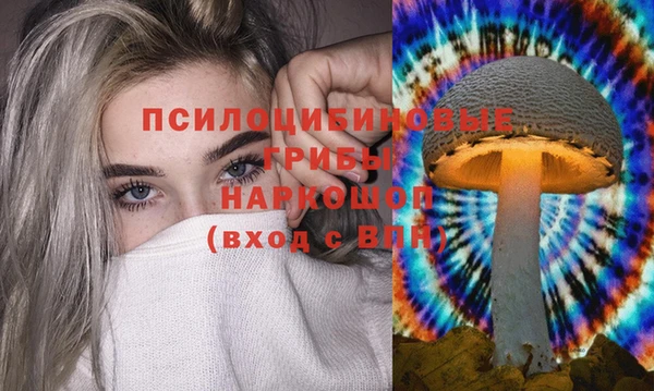 дмт Богородицк